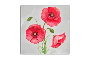 Canvastavla Floral Flerfärgad - 45x45 cm - Inredning - Tavlor & posters - Canvastavla