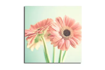 Canvastavla Floral Flerfärgad - 45x45 cm - Inredning - Tavlor & posters - Canvastavla