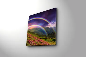 Canvastavla Floral Flerfärgad - 45x45 cm - Inredning - Tavlor & posters - Canvastavla