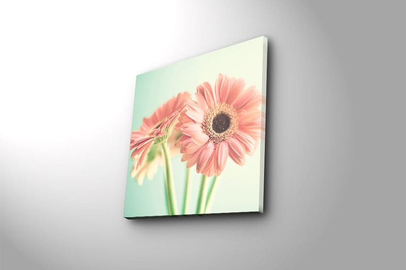 Canvastavla Floral Flerfärgad - 45x45 cm - Inredning - Tavlor & posters - Canvastavla