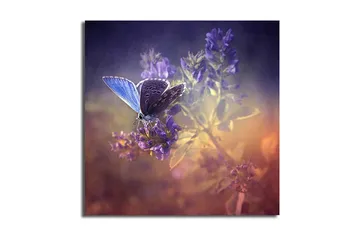 Canvastavla Floral Flerfärgad - 45x45 cm - Inredning - Tavlor & posters - Canvastavla