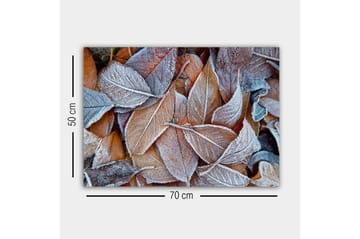 Canvastavla - Frostiga höstlöv i varma nyanser - Orange / Grå / Vit - Inredning - Tavlor & posters - Canvastavla