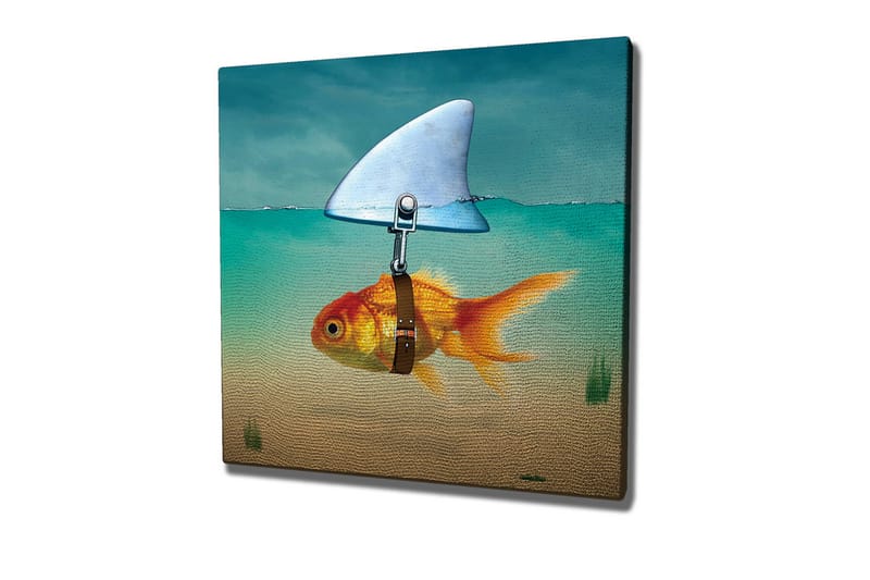 Canvastavla - Guldfisk med simfena som simmar i klart vatten - Turkos / Orange / Beige - Inredning - Tavlor & posters - Canvastavla