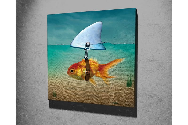 Canvastavla - Guldfisk med simfena som simmar i klart vatten - Turkos / Orange / Beige - Inredning - Tavlor & posters - Canvastavla