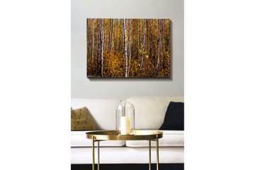 Canvastavla - Gyllene höstskog med björkar - Gult / Vitt / Brunt - Inredning - Tavlor & posters - Canvastavla