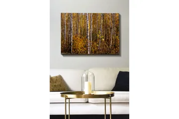 Canvastavla - Gyllene höstskog med björkar - Gult / Vitt / Brunt - Inredning - Tavlor & posters - Canvastavla