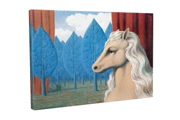 Canvastavla - Hästhuvud med vit man i en drömlik skogsmiljö - Blå / Röd / Beige - Inredning - Tavlor & posters - Canvastavla