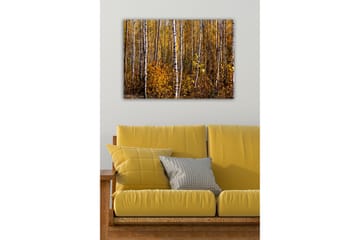 Canvastavla - Höstlig skog med björkar och gyllene löv - Guld / Vit / Brun - Inredning - Tavlor & posters - Canvastavla