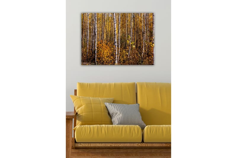 Canvastavla - Höstlig skog med björkar och gyllene löv - Guld / Vit / Brun - Inredning - Tavlor & posters - Canvastavla
