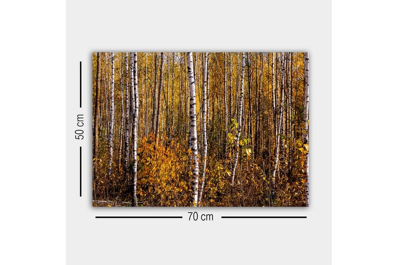 Canvastavla - Höstlig skog med björkar och gyllene löv - Guld / Vit / Brun - Inredning - Tavlor & posters - Canvastavla