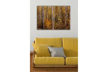 Canvastavla - Höstlig skog med björkar och gyllene löv - Guld / Vit / Brun - Inredning - Tavlor & posters - Canvastavla