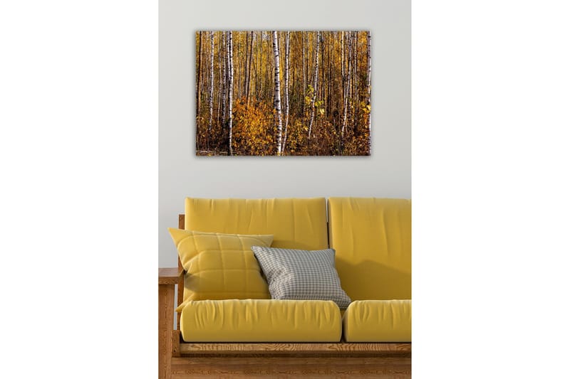Canvastavla - Höstlig skog med björkar och gyllene löv - Guld / Vit / Brun - Inredning - Tavlor & posters - Canvastavla