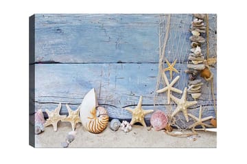 Canvastavla - Havsinspirerad samling av snäckor och sjöstjärnor - Blå / Beige / Vit - Inredning - Tavlor & posters - Canvastavla