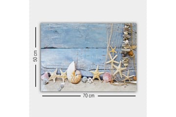 Canvastavla - Havsinspirerad samling av snäckor och sjöstjärnor - Blå / Beige / Vit - Inredning - Tavlor & posters - Canvastavla