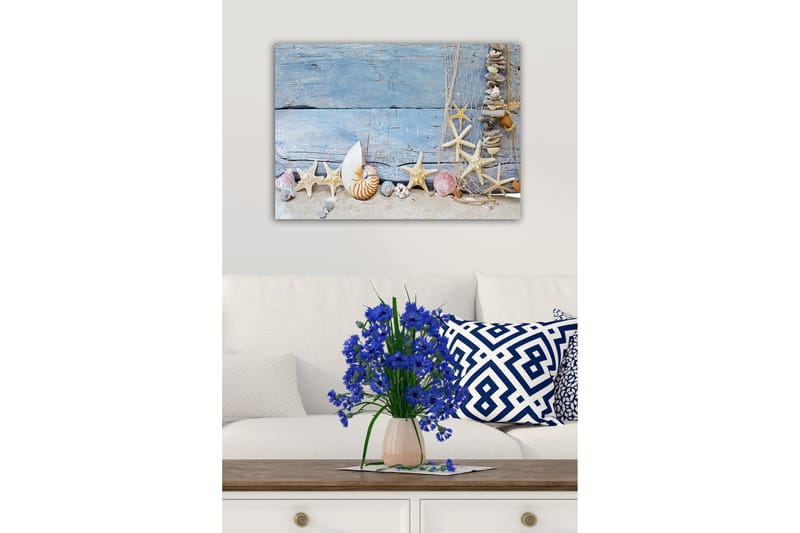 Canvastavla - Havsinspirerad samling av snäckor och sjöstjärnor - Blå / Beige / Vit - Inredning - Tavlor & posters - Canvastavla