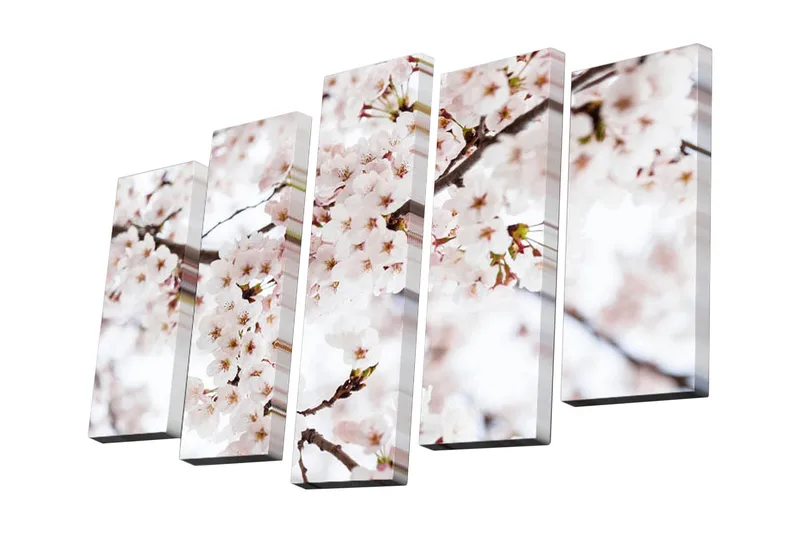 Canvastavla i 5 delar 82x50 cm - Blomstrande körsbärsträd i vårens ljus - Ljusrosa / Vit / Grön - Inredning - Tavlor & posters - Canvastavla