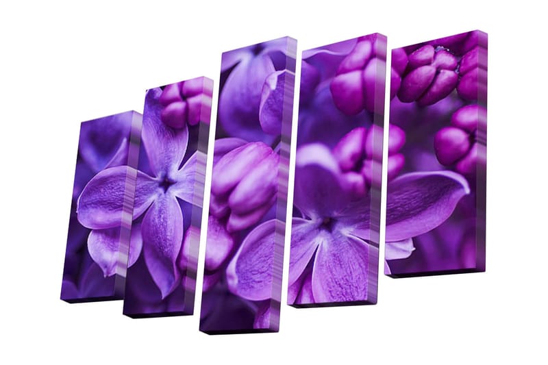 Canvastavla i 5 delar 82x50 cm - Färgrik komposition av syrener i lila nyanser - Lila / Mörklila - Inredning - Tavlor & posters - Canvastavla