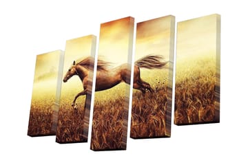 Canvastavla i 5 delar 82x50 cm - Galopperande häst i gyllene fält - Guld / Brunt / Beige - Inredning - Tavlor & posters - Canvastavla
