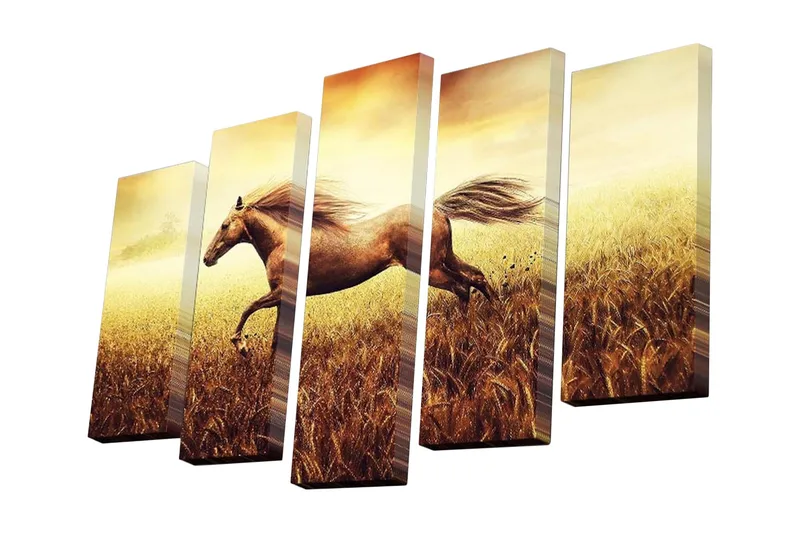 Canvastavla i 5 delar 82x50 cm - Galopperande häst i gyllene fält - Guld / Brunt / Beige - Inredning - Tavlor & posters - Canvastavla