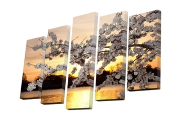 Canvastavla i 5 delar 82x50 cm - Vacker körsbärsblomma vid solnedgången - Vit / Orange / Gul - Inredning - Tavlor & posters - Canvastavla