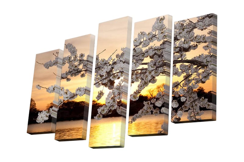 Canvastavla i 5 delar 82x50 cm - Vacker körsbärsblomma vid solnedgången - Vit / Orange / Gul - Inredning - Tavlor & posters - Canvastavla