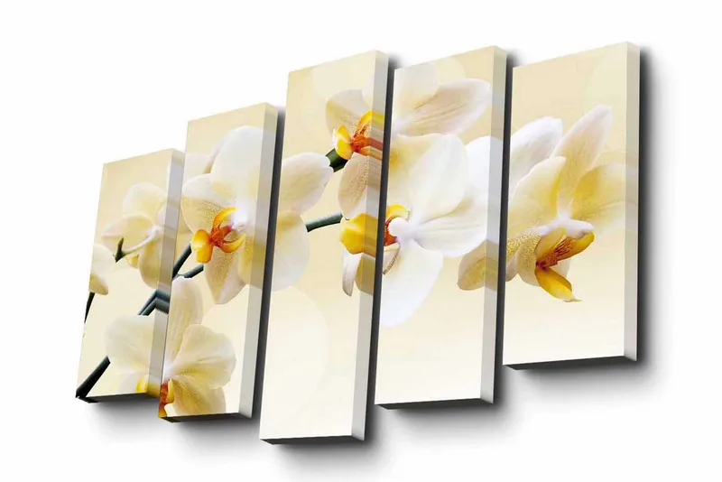 Canvastavla i 5 delar 82x50 cm - Vacker orkidé i mjuka nyanser - Vit / Gul - Inredning - Tavlor & posters - Canvastavla