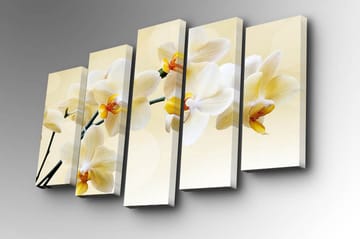 Canvastavla i 5 delar 82x50 cm - Vacker orkidé i mjuka nyanser - Vit / Gul - Inredning - Tavlor & posters - Canvastavla