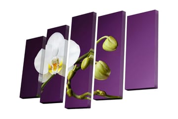 Canvastavla i 5 delar 82x50 cm - Vit orkidé med gröna knoppar mot en lila bakgrund - Vit / Lila / Grön - Inredning - Tavlor & posters - Canvastavla