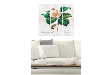 Canvastavla i trä 3-delar 50x70 cm - Blomma med gröna blad - Grön / Vit / Beige - Inredning - Tavlor & posters - Canvastavla