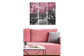 Canvastavla i trä 3-delar 50x70 cm - Blommande körsbärsträd i en svartvit parkmiljö - Rosa / Svart / Grå - Inredning - Tavlor & posters - Canvastavla