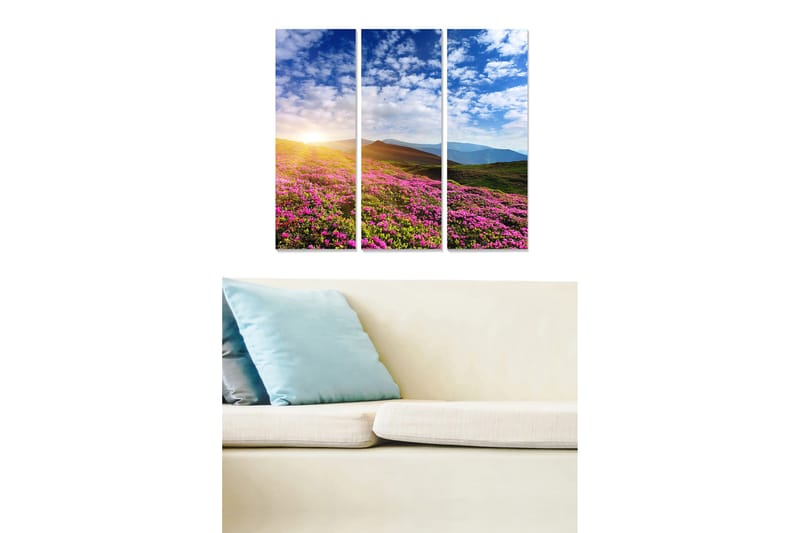 Canvastavla i tr ä 3-delar 50x70 cm - Blomstrande äng med färgglada blommor och en soluppgång i bakgrunden, Rosa / Grön / Blå