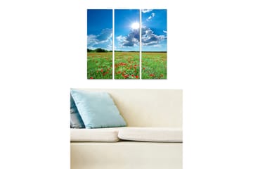 Canvastavla i trä 3-delar 50x70 cm - Blomstrande äng med röda och vita blommor under en klar blå himmel - Grön / Blå / Röd - Inredning - Tavlor & posters - Canvastavla