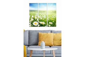 Canvastavla i trä 3-delar 50x70 cm - Blomstrande äng med prästkragar - Grön / Vit / Blå - Inredning - Tavlor & posters - Canvastavla