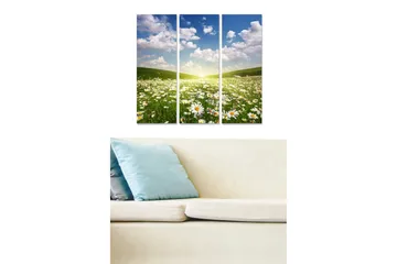 Canvastavla i trä 3-delar 50x70 cm - Blomstrande äng med prästkragar under en klar himmel - Grön / Blå / Vit - Inredning - Tavlor & posters - Canvastavla