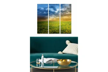 Canvastavla i trä 3-delar 50x70 cm - Blomstrande fält med gula maskrosor under en dramatisk himmel - Gult / Blått / Grönt - Inredning - Tavlor & posters - Canvastavla