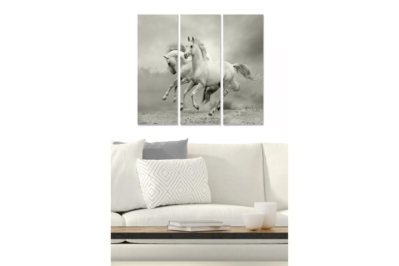 Canvastavla i trä 3-delar 50x70 cm - Dynamiska hästar i rörelse, Vit / Grå