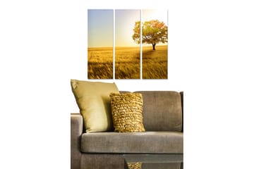 Canvastavla i trä 3-delar 50x70 cm - Ensam trä i gyllene fält under en klar himmel - Guld / Grön / Blå - Inredning - Tavlor & posters - Canvastavla