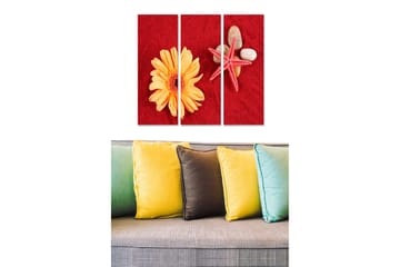 Canvastavla i trä 3-delar 50x70 cm - Färgglad komposition med en blomma och snäckor på röd bakgrund - Röd / Gul / Beige - Inredning - Tavlor & posters - Canvastavla