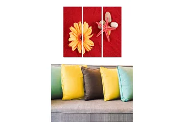 Canvastavla i trä 3-delar 50x70 cm - Färgglad komposition med en blomma och snäckor på röd bakgrund - Röd / Gul / Beige - Inredning - Tavlor & posters - Canvastavla