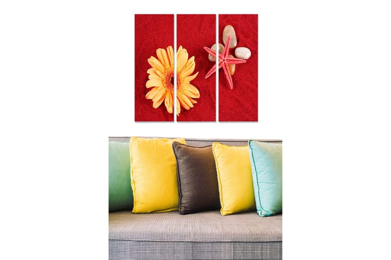 Canvastavla i trä 3-delar 50x70 cm - Färgglad komposition med en blomma och snäckor på röd bakgrund, Röd / Gul / Beige