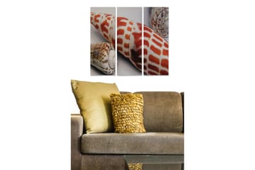 Canvastavla i trä 3-delar 50x70 cm - Färgglada snäckor i detaljrik komposition - Röd / Beige / Brun - Inredning - Tavlor & posters - Canvastavla