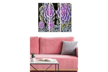 Canvastavla i trä 3-delar 50x70 cm - Färgglada suckulenter i olika nyanser - Lila / Grön / Grå - Inredning - Tavlor & posters - Canvastavla