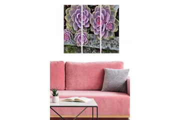 Canvastavla i trä 3-delar 50x70 cm - Färgglada suckulenter i olika nyanser - Lila / Grön / Rosa - Inredning - Tavlor & posters - Canvastavla