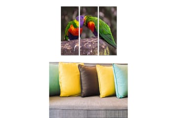 Canvastavla i trä 3-delar 50x70 cm - Färgglada papegojor som interagerar på en gren - Grön / Röd / Lila - Inredning - Tavlor & posters - Canvastavla