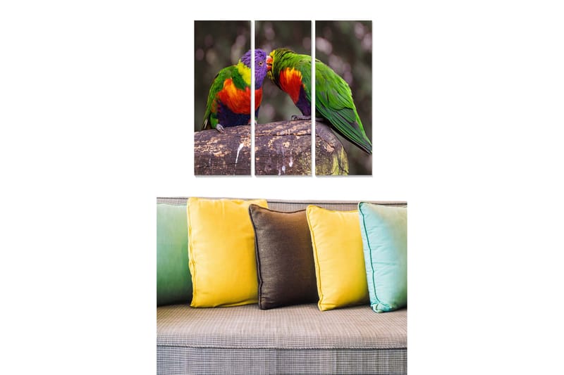 Canvastavla i trä 3-delar 50x70 cm - Färgglada papegojor som interagerar på en gren, Grön / Röd / Lila