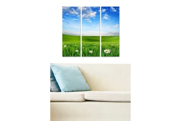 Canvastavla i trä 3-delar 50x70 cm - Grön äng med vita blommor och blå himmel - Grön / Blå / Vit - Inredning - Tavlor & posters - Canvastavla