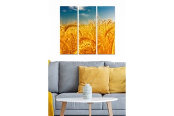 Canvastavla i trä 3-delar 50x70 cm - Gyllene vetefält under en klar himmel - Guld / Blå - Inredning - Tavlor & posters - Canvastavla