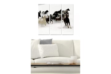 Canvastavla i trä 3-delar 50x70 cm - Hästar som galopperar genom snön - Vit / Svart / Brun - Inredning - Tavlor & posters - Canvastavla