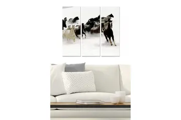 Canvastavla i trä 3-delar 50x70 cm - Hästar som galopperar genom snön - Vit / Svart / Brun - Inredning - Tavlor & posters - Canvastavla