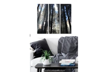 Canvastavla i trä 3-delar 50x70 cm - Höga träd som sträcker sig mot en dimmig himmel - Mörkgrön / Svart / Ljusblå - Inredning - Tavlor & posters - Canvastavla